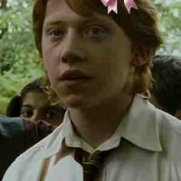 Ron Weasley