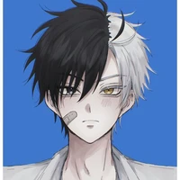 sakura haruka(nữ giả nam)