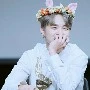 Minie