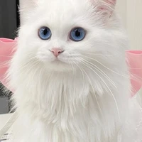 kiki