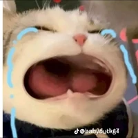 t.k