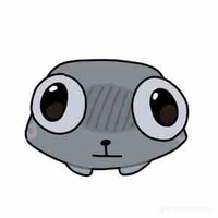 Cục đá biết sủa 🤡