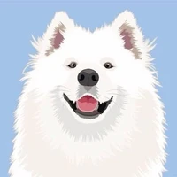 Mochi