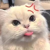 Tác giả xinh gáii