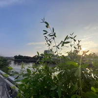 hệ thống 𝟘𝟡𝟘𝟙