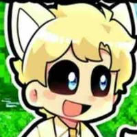 Hiha anticatnap 