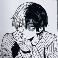 Todoroki Shoto (Shoto)