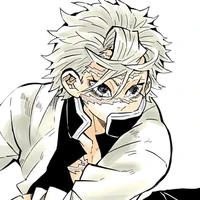 Shinazugawa Sanemi