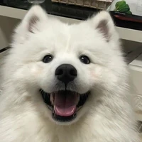 Kay