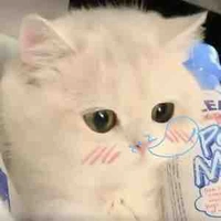 Nminh