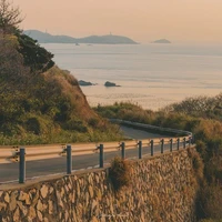 ? ? ?