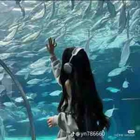 Nguyễn ly mai/mei/  