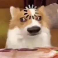 T/G