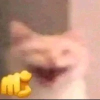 t/g2