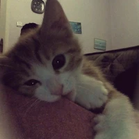 Phu Thuy 0 Choi Dayy