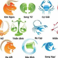Cả lớp 