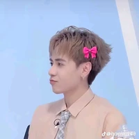 Lê Quang Hùng (Phone)