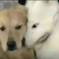 nhân vật 9 bí ẩn