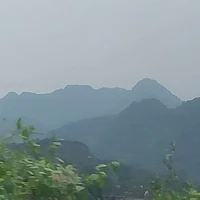 Tác giả