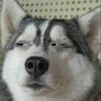 Bí ẩn (không rõ giới tính)