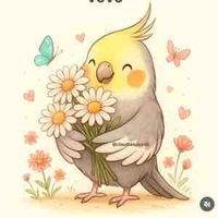 Mero (bạn đồng hành)