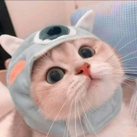 nv bình luận