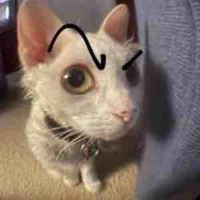 All nhóm Flame (-ai tự bt)