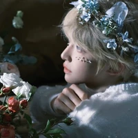 Ngô Thị Thanh Bảo