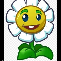 marigold