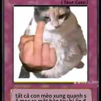 T/g