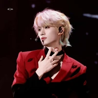 Đinh Trình Hâm.( đại vương tử)