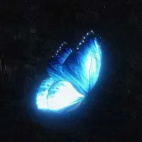 All