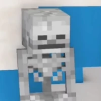 skeleton(skely)
