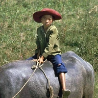 Mấy Đứa Con Nít
