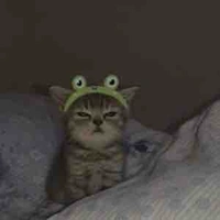 Tác giả cute dthuong đẹp gái nhất thế giới