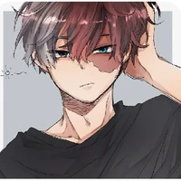 todoroki shoto