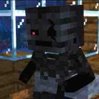 Wither the Blackhole