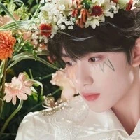 Đinh Trình Hâm - 🦊