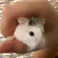 Nhỏ t/g éc độc