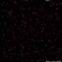 Yum trong truyện đó