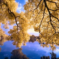 all (trừ một số)