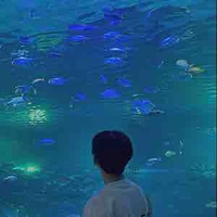 Cố cảnh thâm -na9