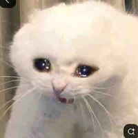 All ( trừ ai cần trừ )