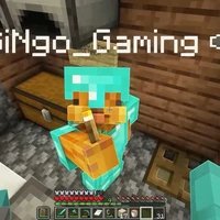 BiNgo_Gaming