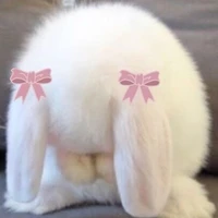 hom ert