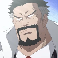 Monkey D Garp