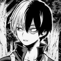 Todoroki Shoto • Shoto