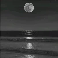 𝙲𝙻𝙾𝚆𝙽