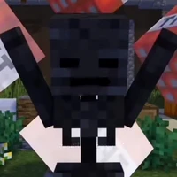★wither★ [tổngk tàik bák đạok]