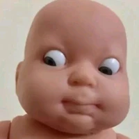 Mèo tím 5 cánh đại bàng cụt